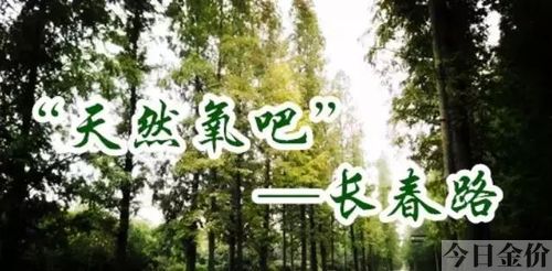 江都黄金大道在哪