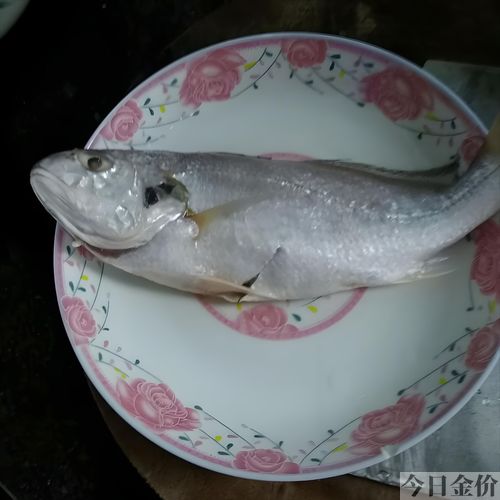黄金鱼能吃吗