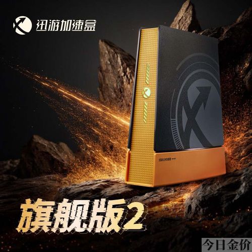 仁王 黄金仁王铠