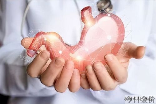 黄金肾肽胶囊