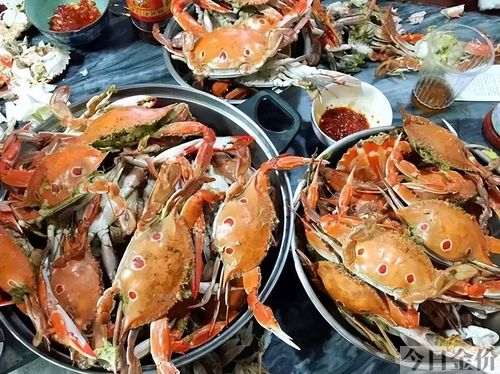 电白黄金海岸
