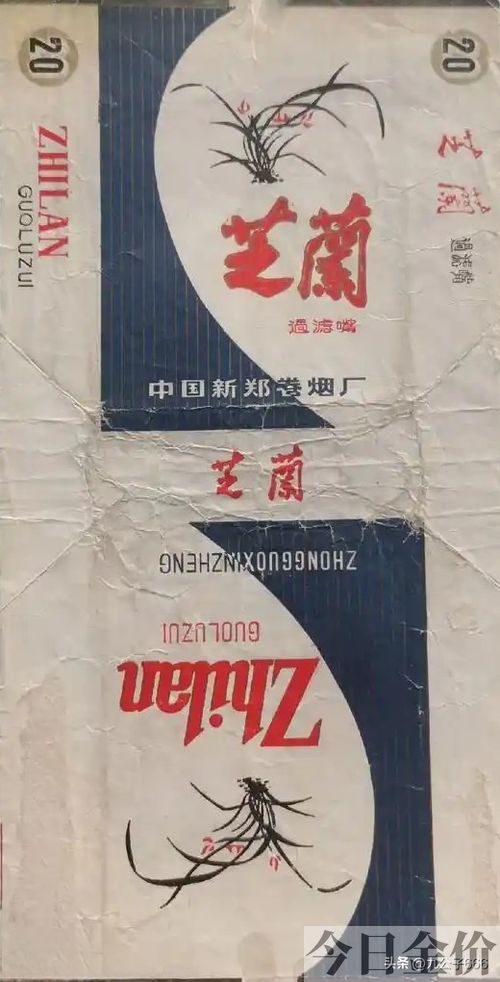黄金叶金芒果