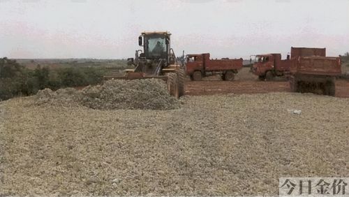 黄金挖矿工