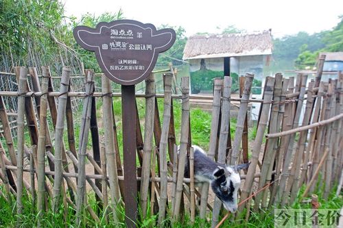 冒险岛黄金寺院怎么去