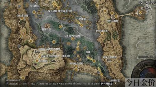 艾尔登法环黄金缝衣针怎么用