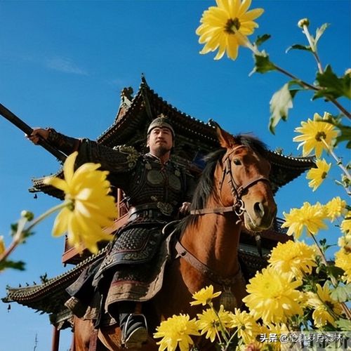满城尽带黄金甲在线观看