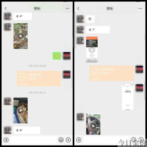 黄金猎犬价格