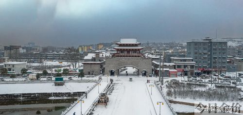 黄金大厦