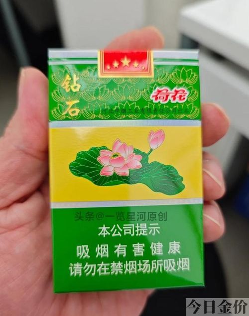 黄金叶薄荷