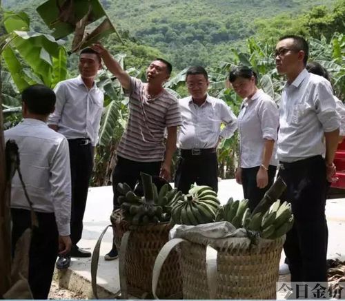 什么是黄金树