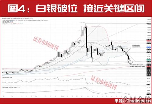 黄金与股票