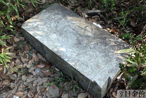 吃黄金小说
