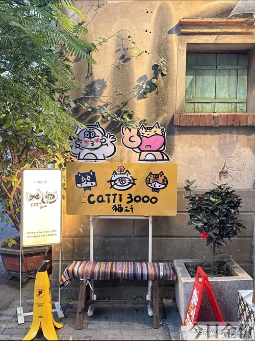 晋江黄金海岸旅游攻略