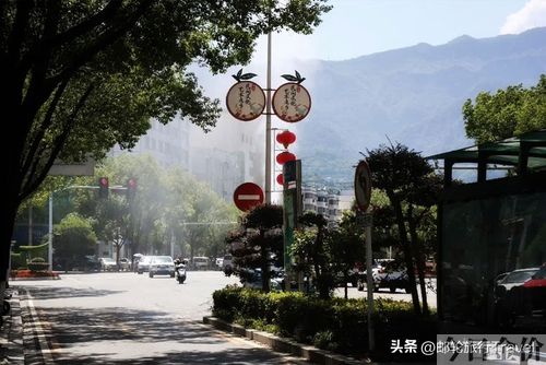 长江六号黄金游轮票价