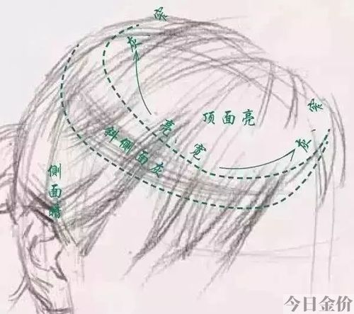 五官比例黄金比例图