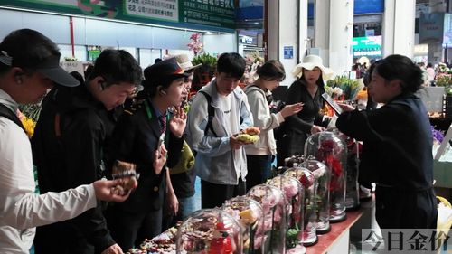 黄金通道电视剧全集