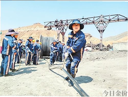 黄金海马拖拉机