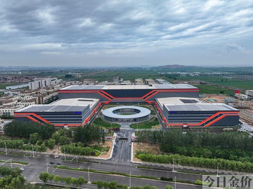 丹青黄金李
