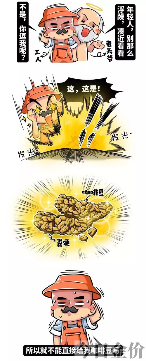 黄金鲱鱼