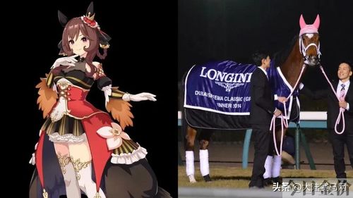 马娘黄金船