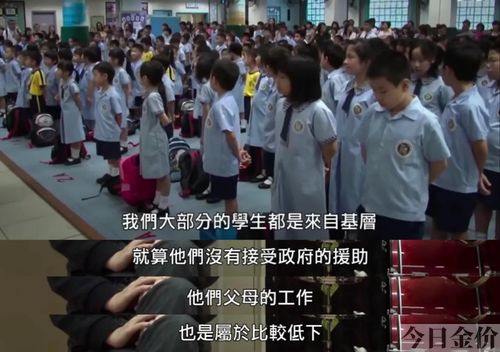 印度黄金猫鱼