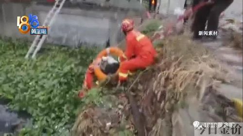 黄金眼鱼漂旗舰店