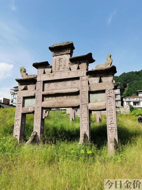 古族 黄金米