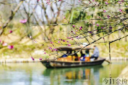 冒险岛黄金寺院怎么去