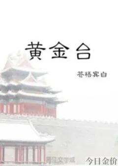 黄金台小说