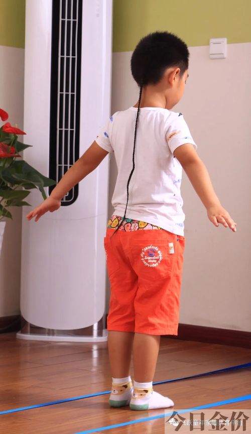 大小腿长度黄金比例