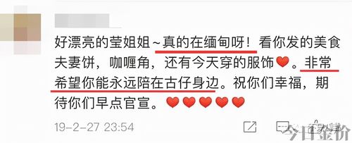 黄金单身汉by公子歌下