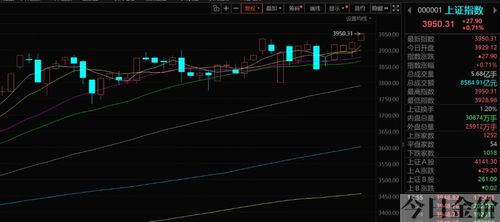 黄金100秒青木组合
