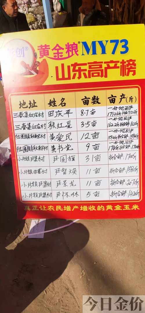 黄金粮73