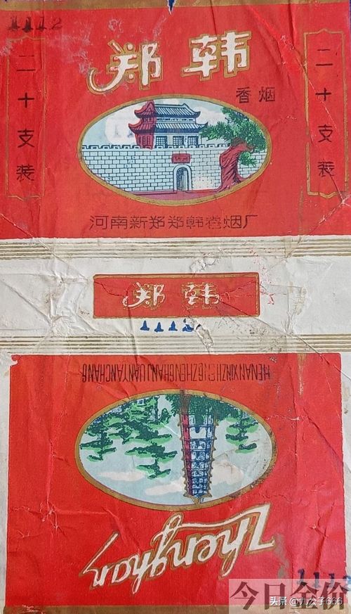 黄金叶金芒果