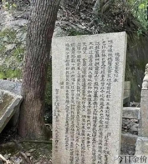 黄金荣照片