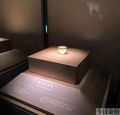海贼王之黄金家族txt