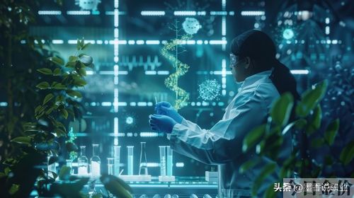 黄金分析师论文
