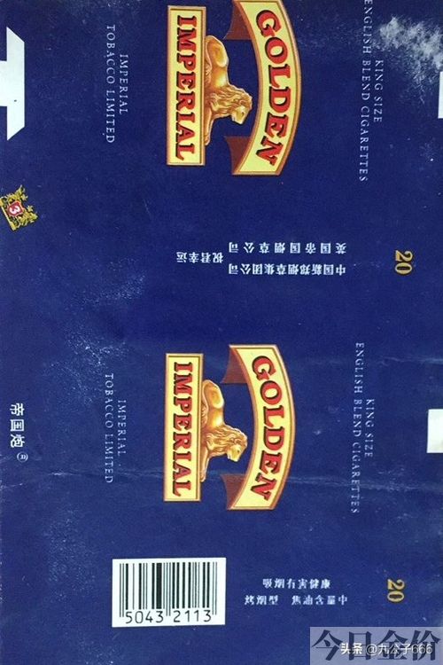 黄金叶金芒果
