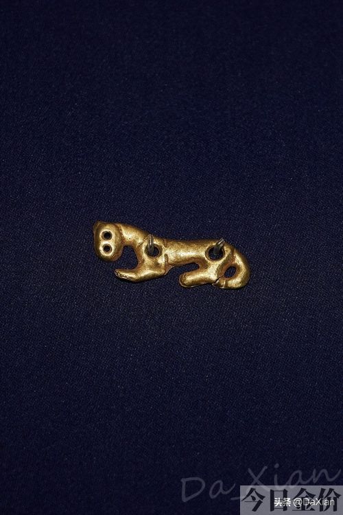 黄金缕臧白