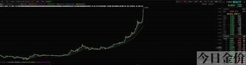 黄金100秒青木组合