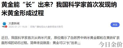什么可以吸黄金