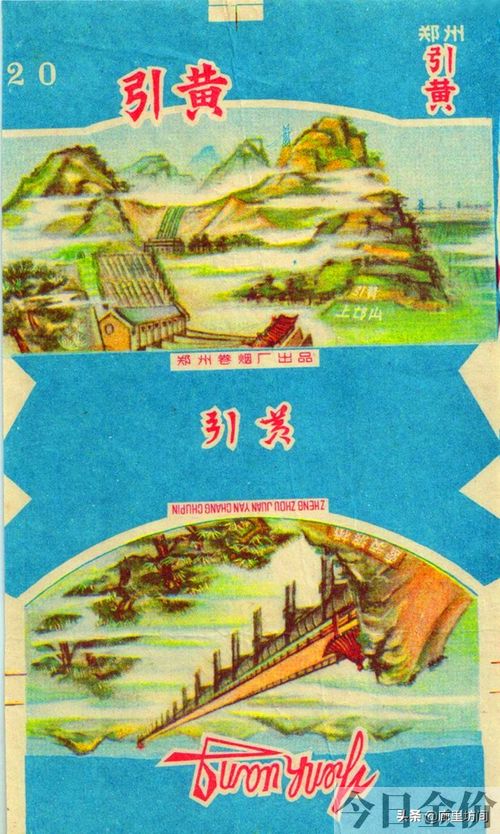 黄金叶大m多少钱