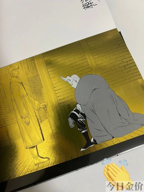 海贼王黄金乡