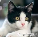 蓬莱黄金河度假村位置
