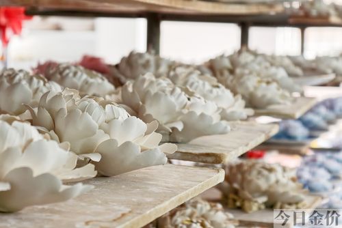牡丹黄金蕊茶
