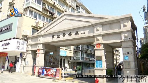 181黄金眼
