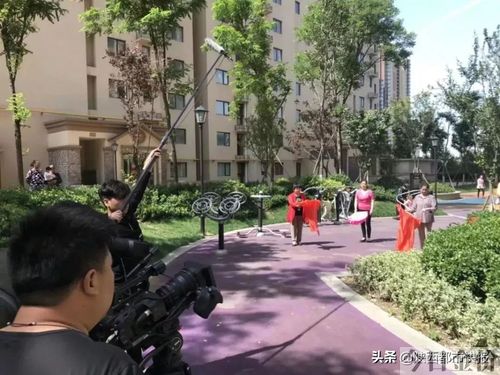 黄金血道片尾曲