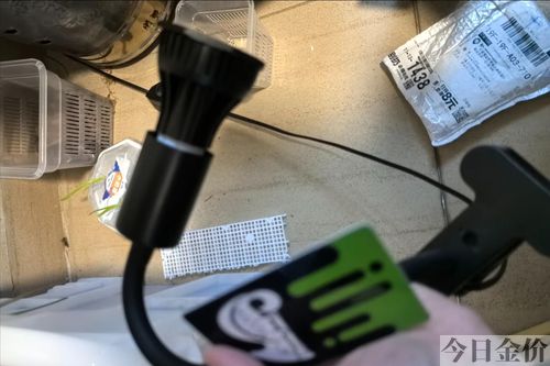 苏卡达怎么保持黄金壳