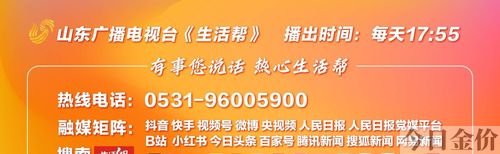 山东黄金地产旅游集团