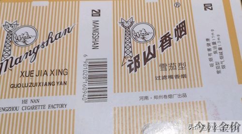 黄金叶金芒果